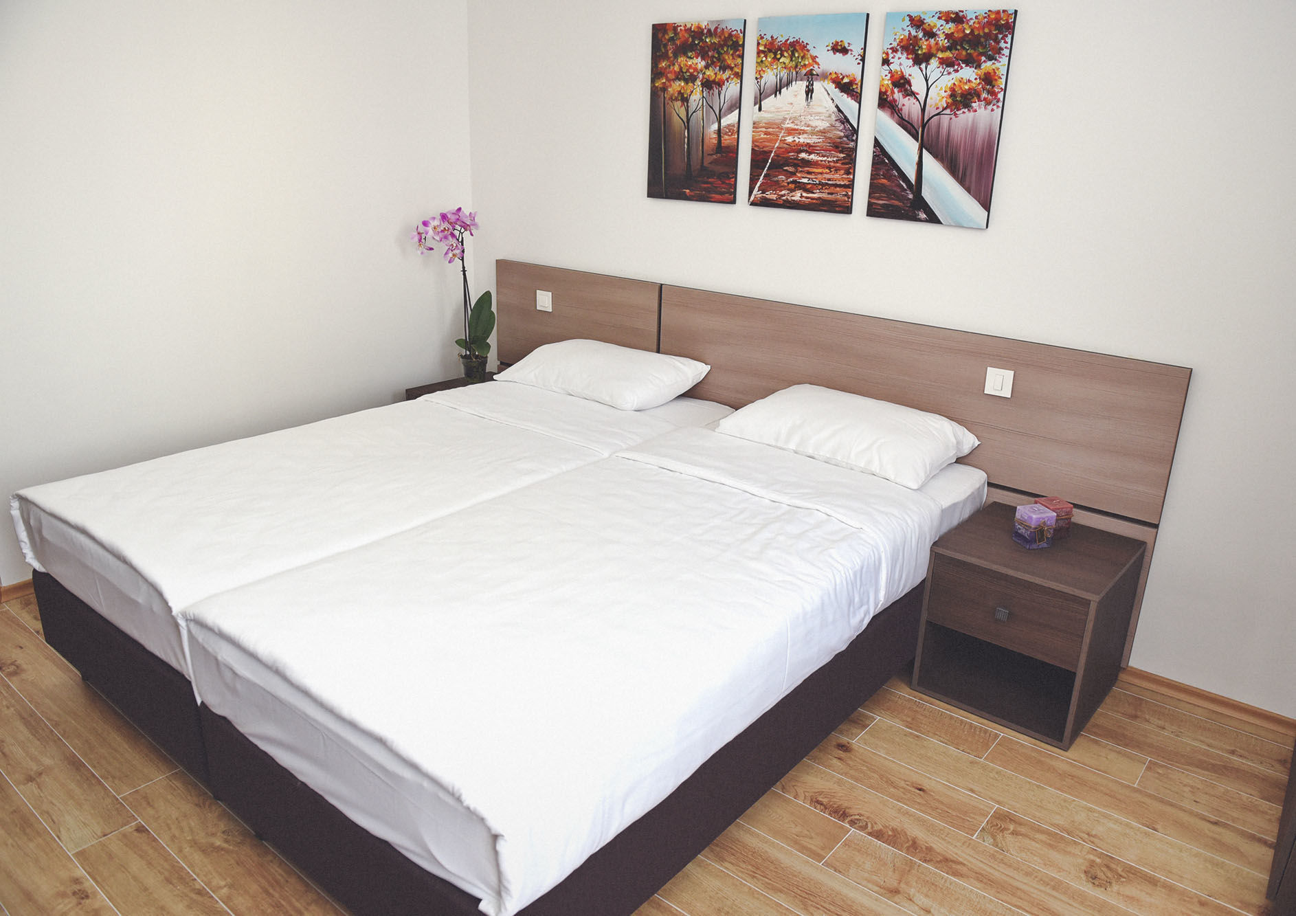 Boutique Villa Arte Ohrid Exterior photo